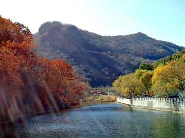 管家婆黑白马报图库，张家川回族自治seo排名